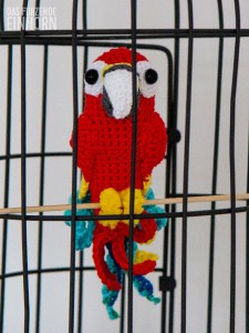 Papagei-3